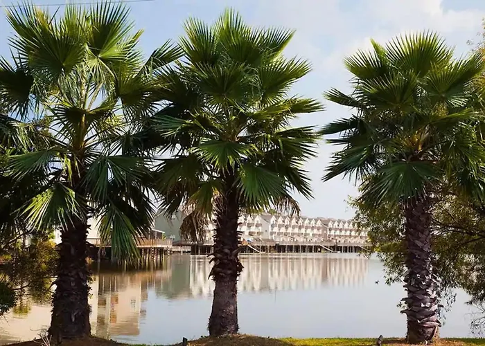 ☆Live On The Water! Lake Palmetto Palm W/ Patio - 10Min To Downtown & Beaches☆